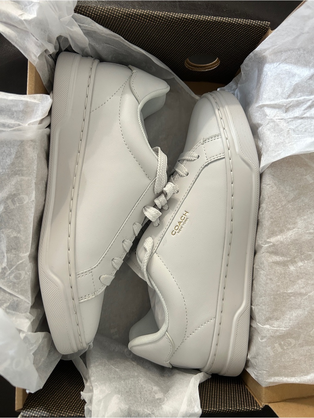 COACH High Line Sneaker